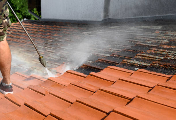 Best Pressure Washing Company Near Me  in Centereach, NY