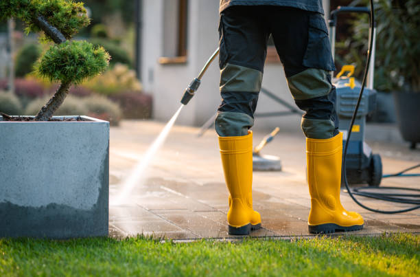 Best Local Pressure Washing Services  in Centereach, NY